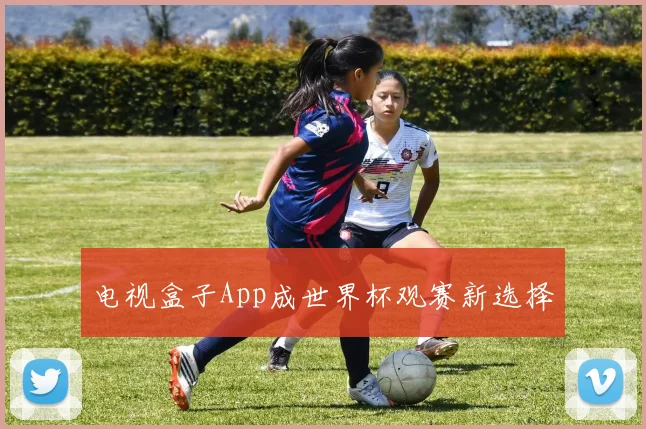电视盒子App成世界杯观赛新选择