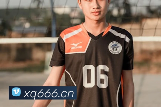 熊猫体育在线登录入口服务体系